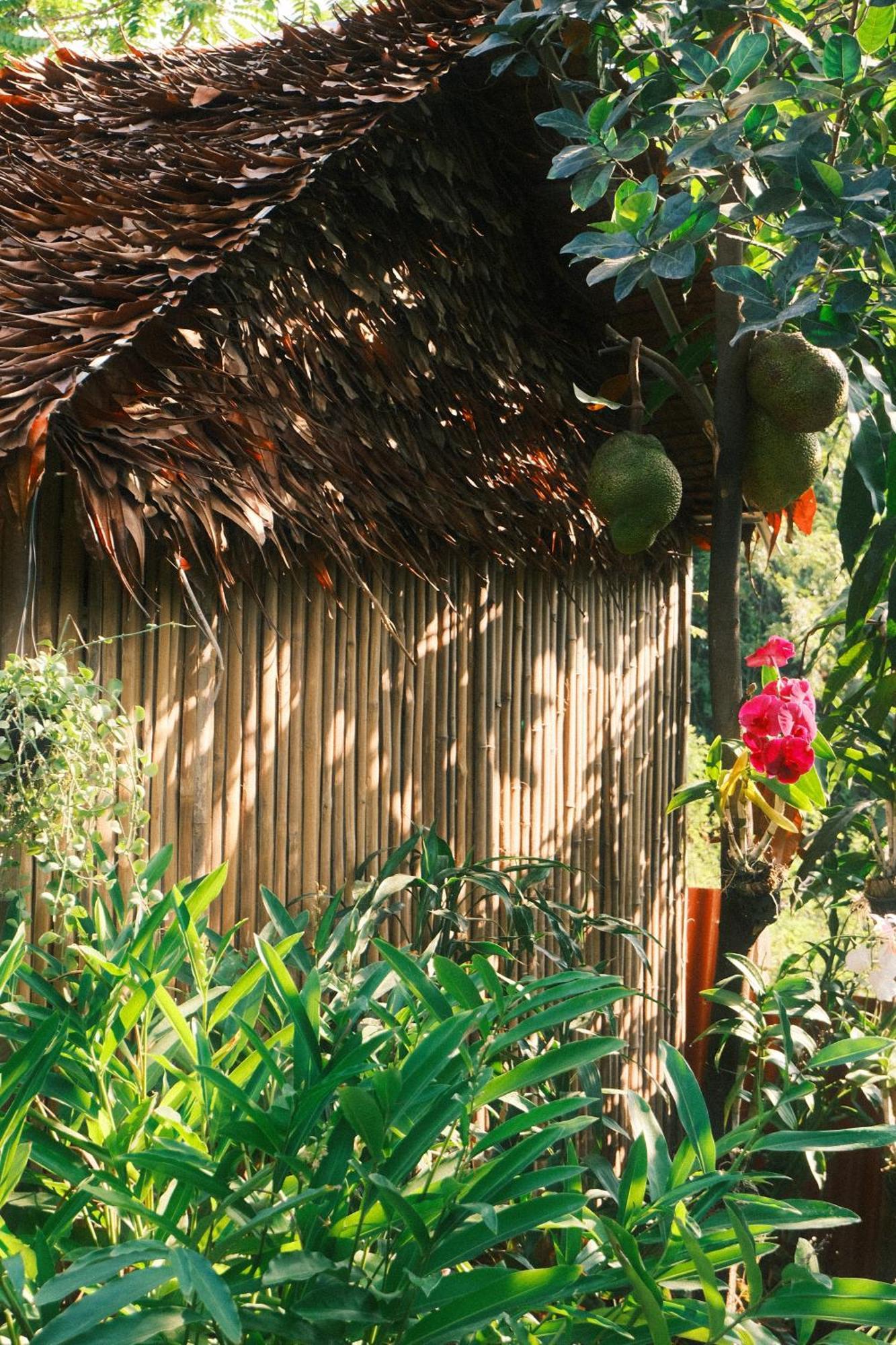 Siem Reap Homesteading II Dış mekan fotoğraf