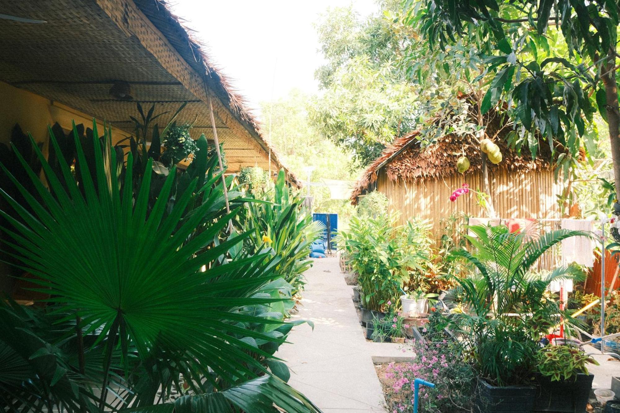 Siem Reap Homesteading II Dış mekan fotoğraf