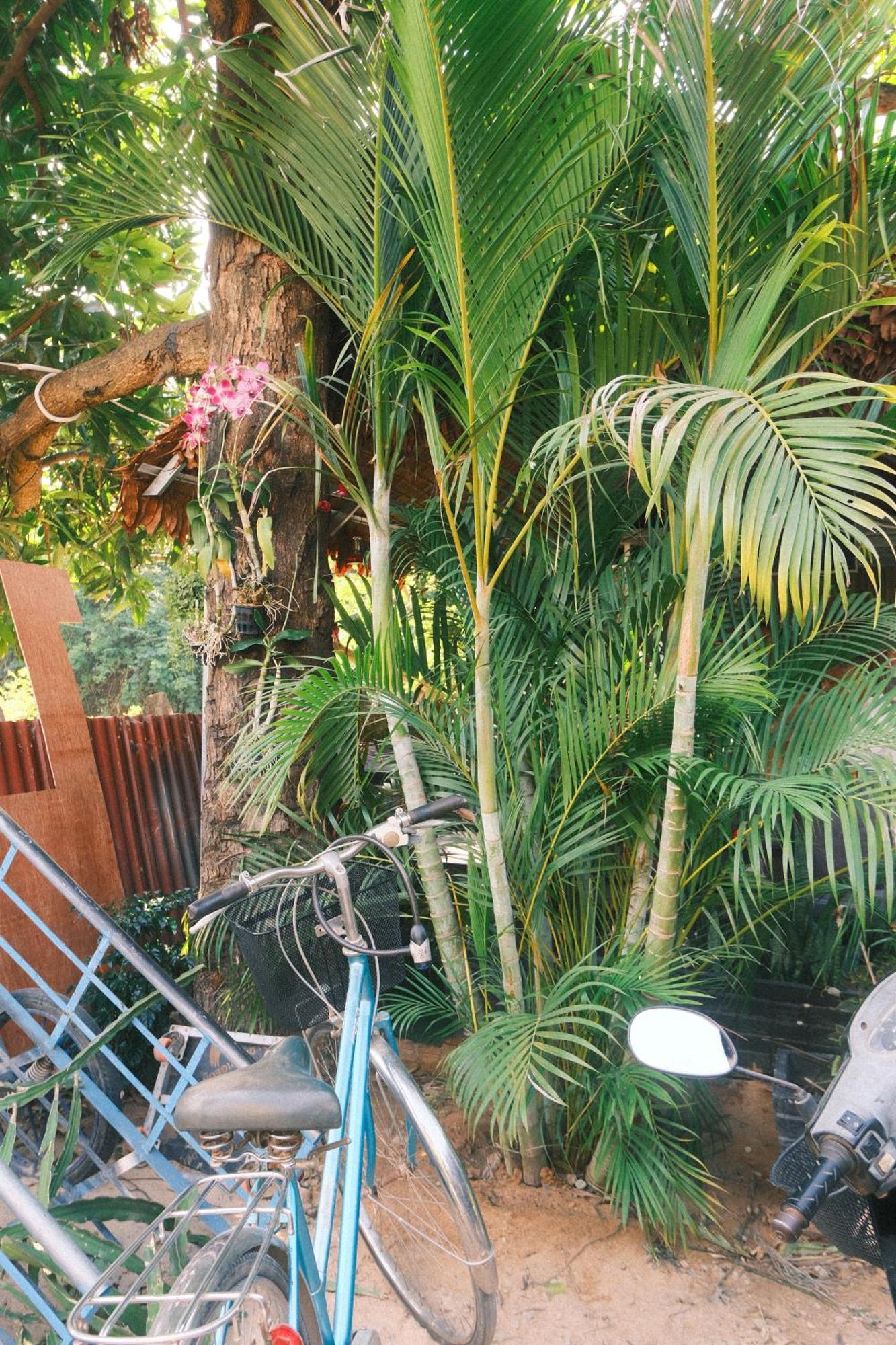 Siem Reap Homesteading II Dış mekan fotoğraf